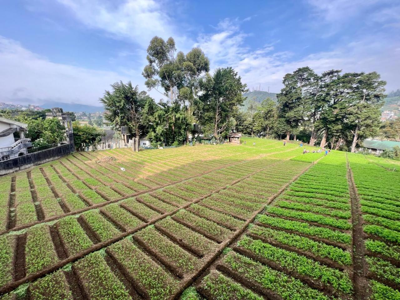 Lake View Residencies Nuwara Eliya Exterior photo